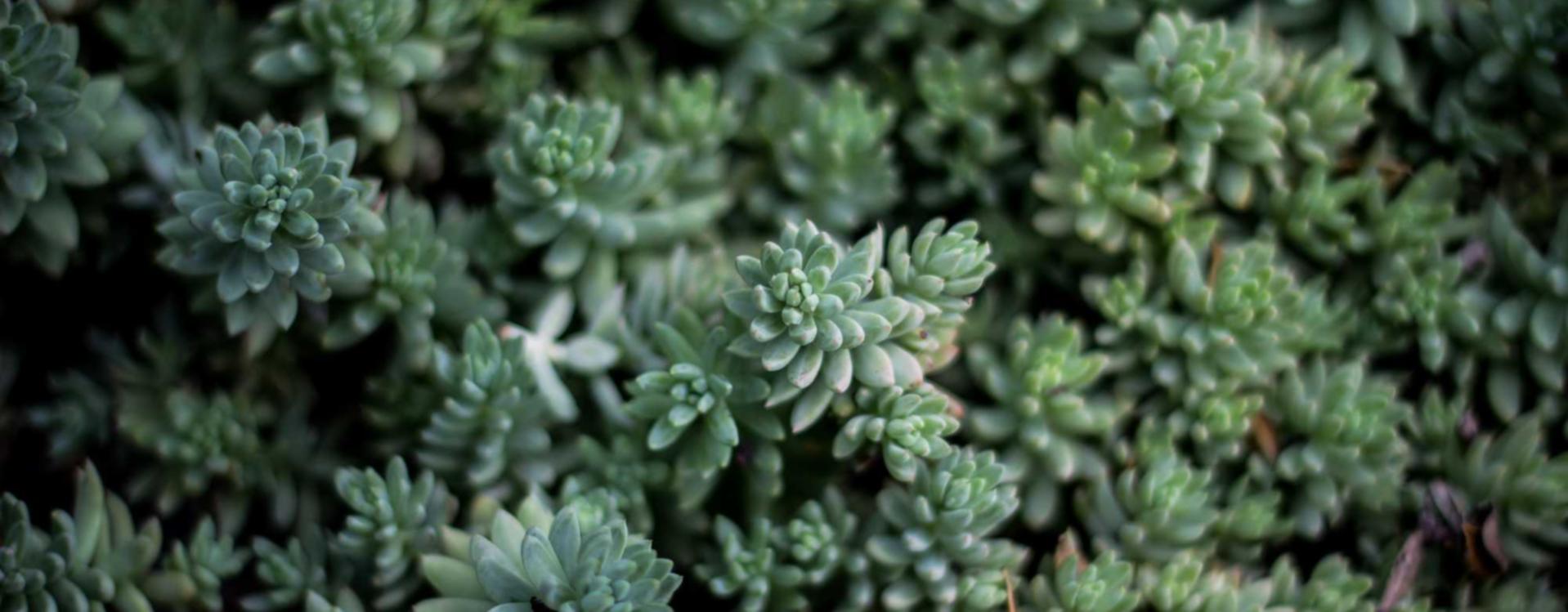 DDOS测试|虎扑注册提示账号有风险