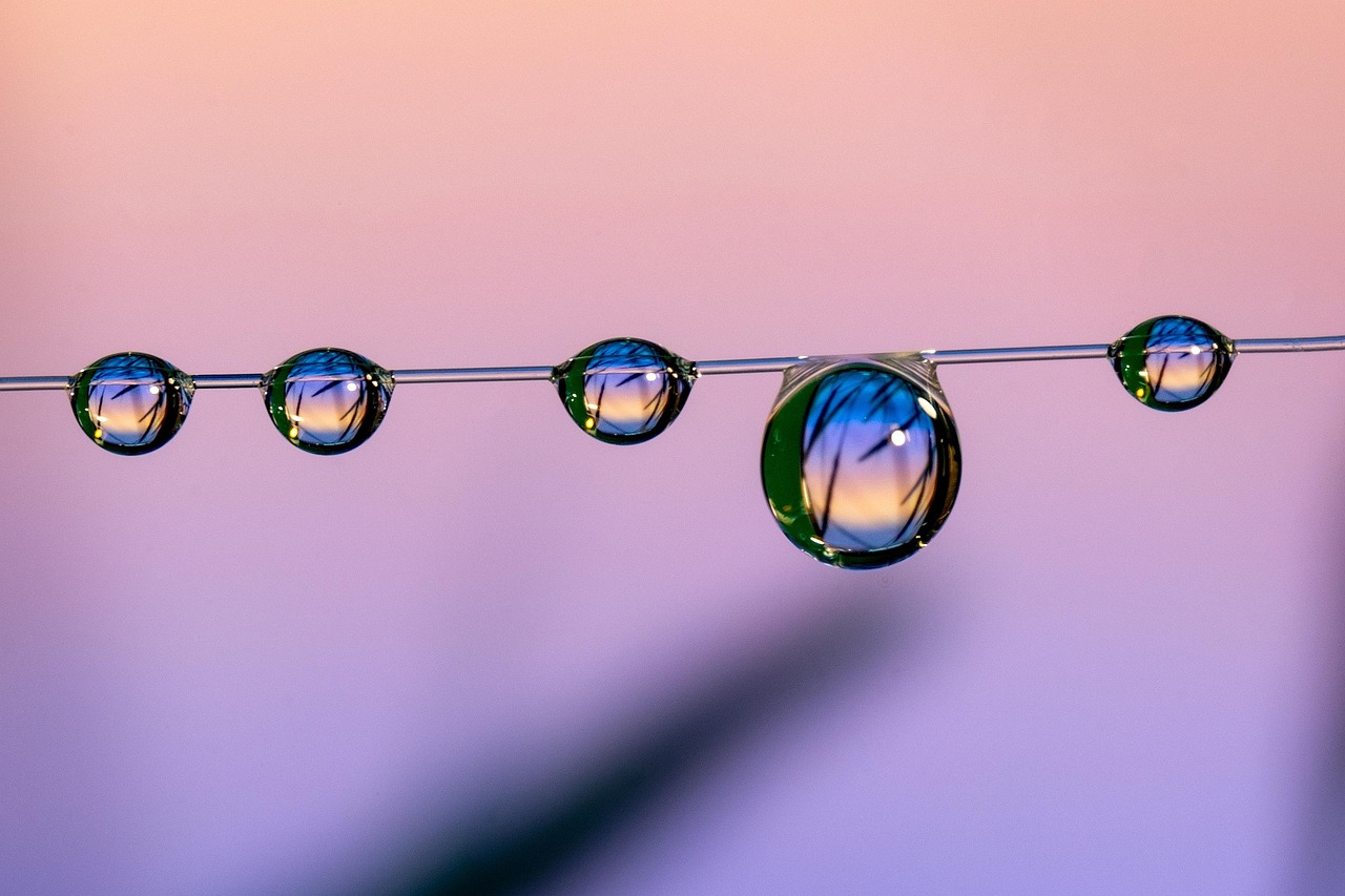 咸鱼实名账号：实名认证能否阻止谣言传播？