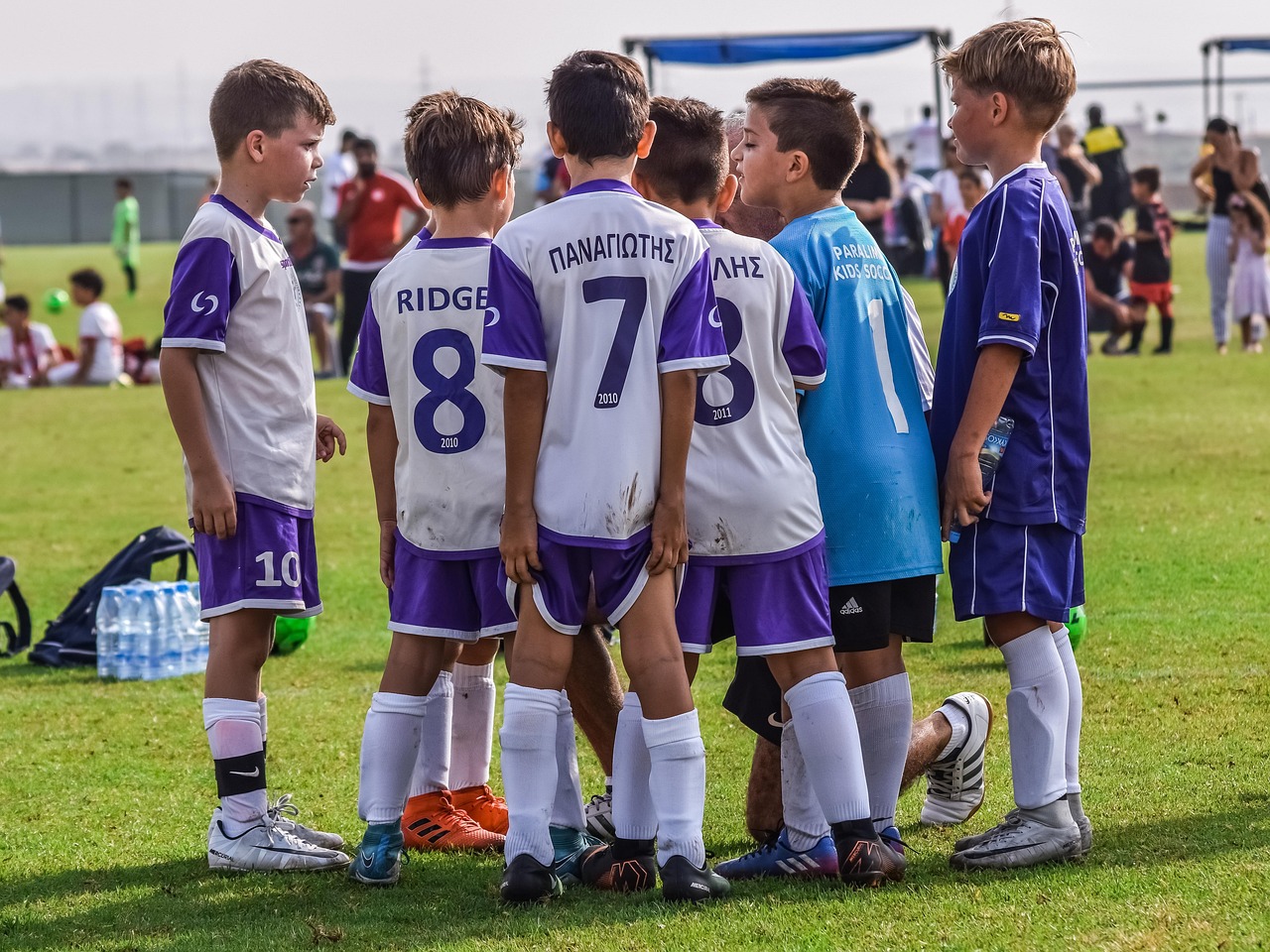 Mond梦都薄荷双爆珠：红楼app官方详情下载教程