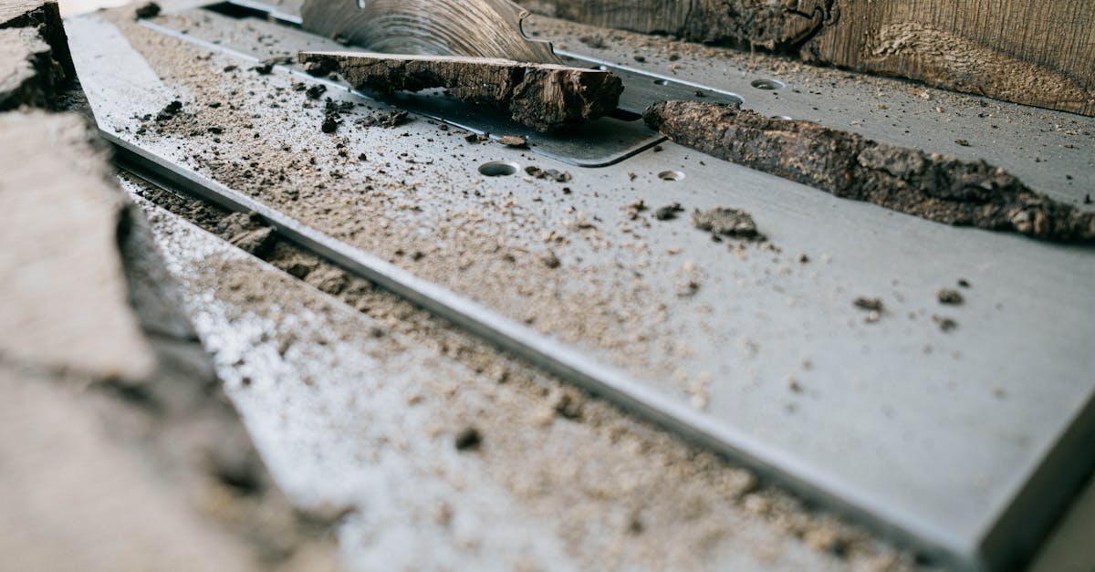 辐射76(Fallout 76)：深圳商标专利申请注册代理