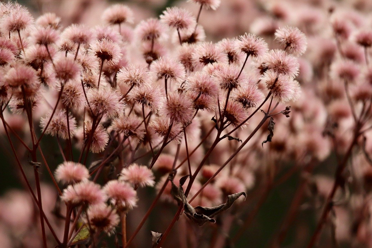 DDOS攻击器|总裁娱平台代理