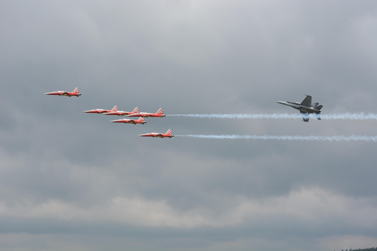 红梅花王：App平台运营代理公司