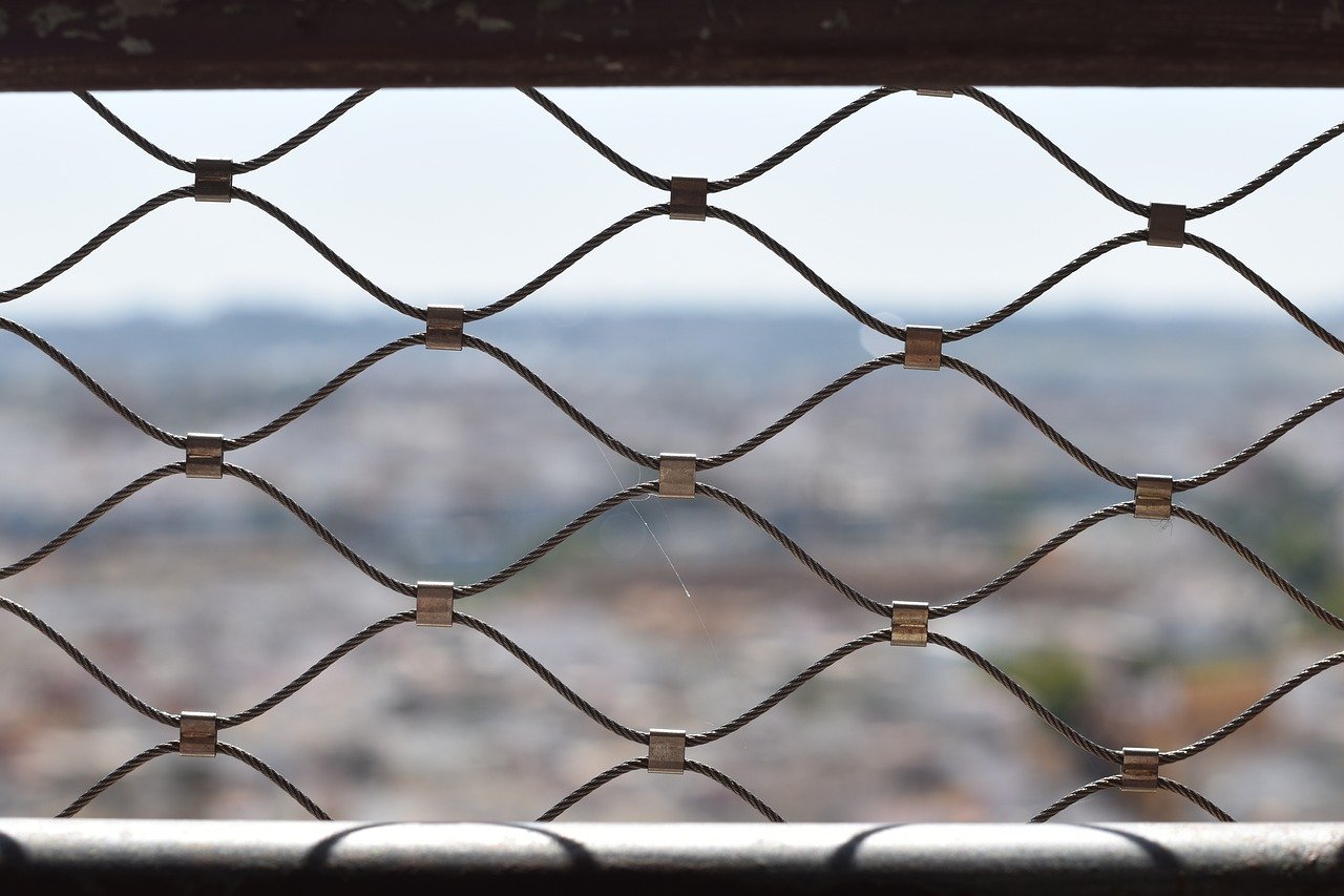 cc网页端|怎么查询公司开户账号