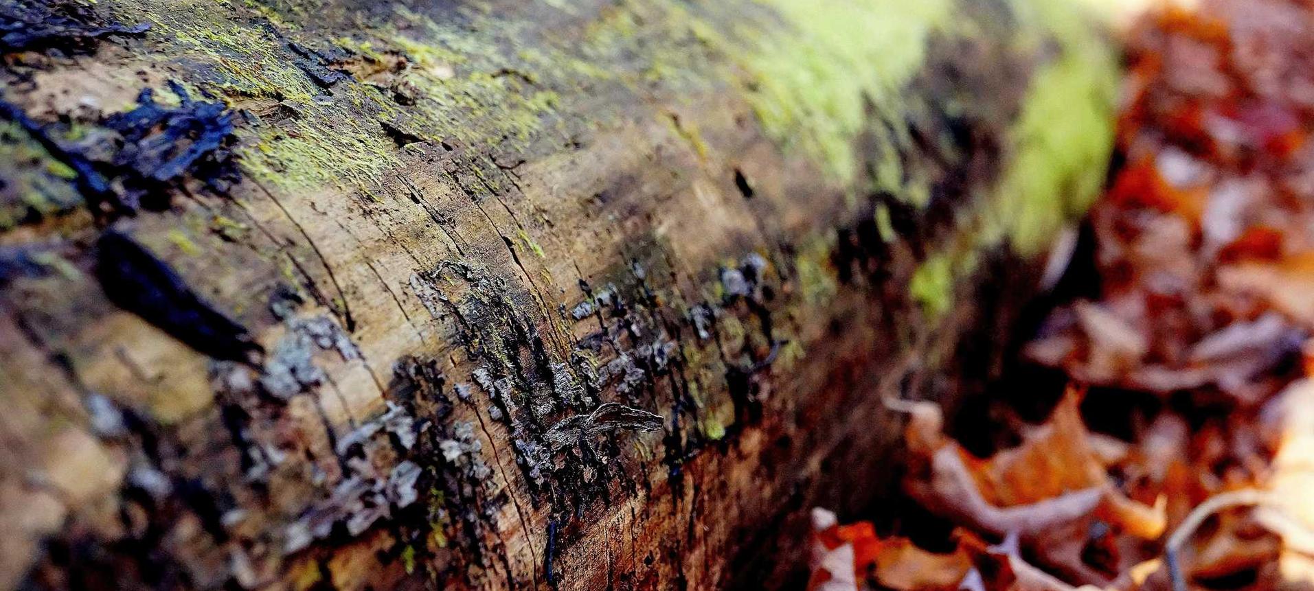 山东企业注册代理报价